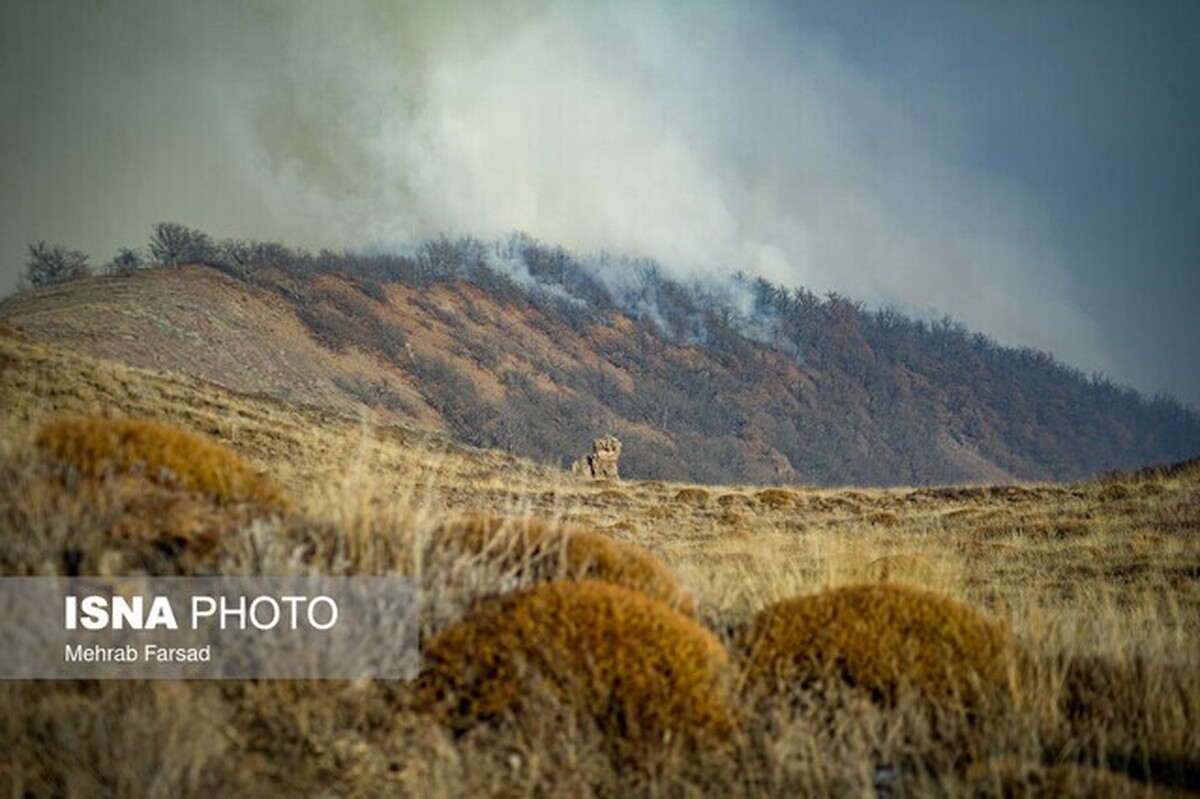 مهار آتش الیت با ۱۱۵ عملیات بالگرد‌ها و ۱۳ پرواز ایلیوشین