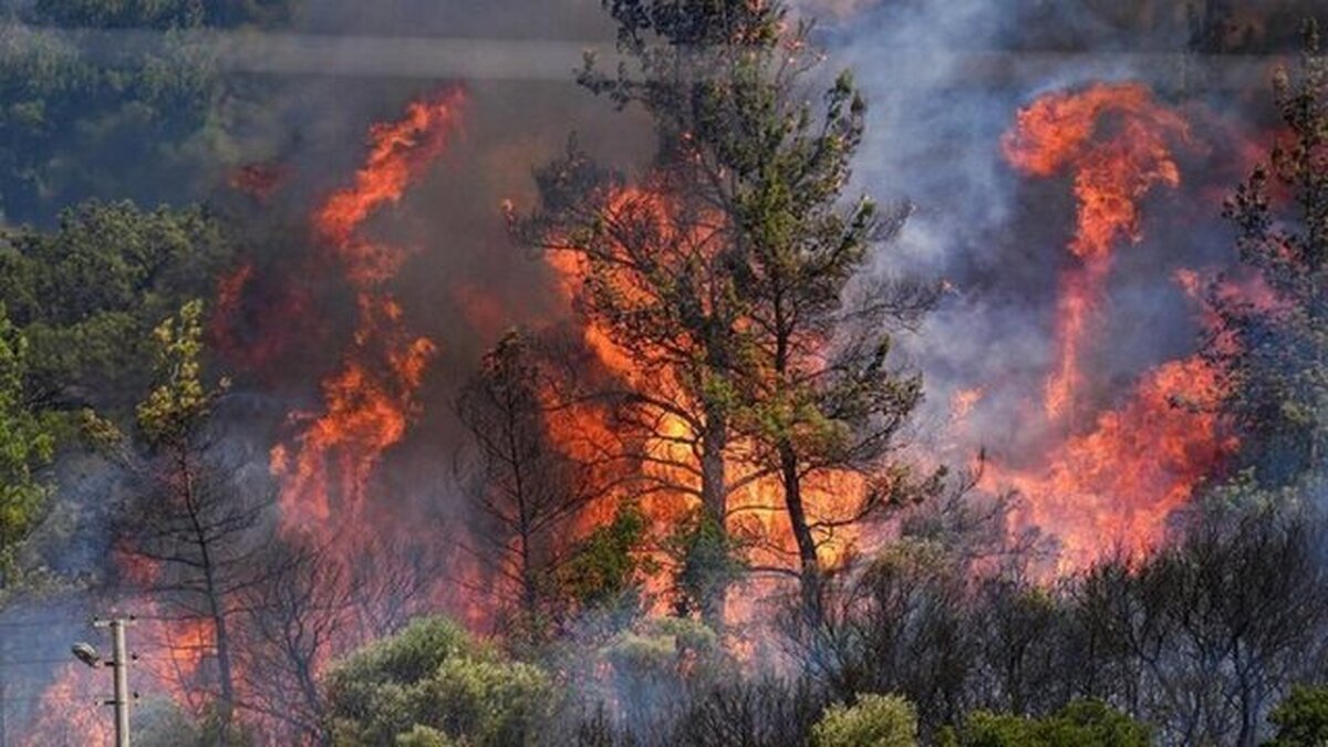 گسترده‌ترین عملیات اطفای حریق کشور در الیت چالوس