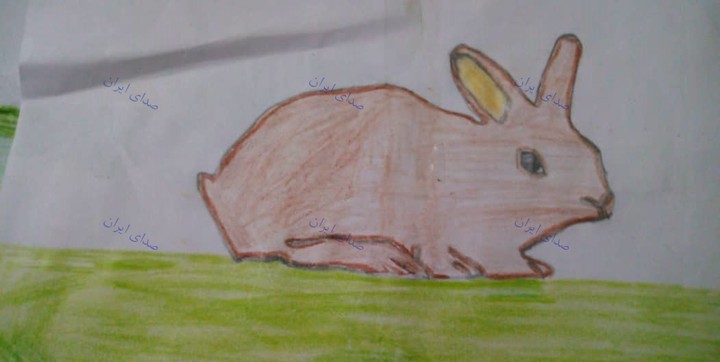 خرگوش
اریا خانی 11  ساله
